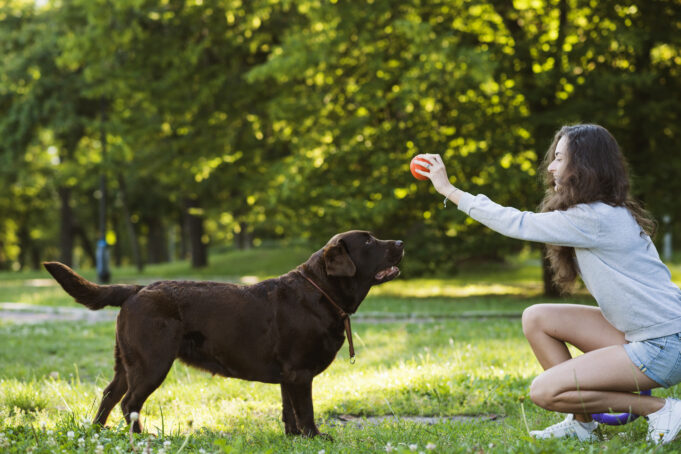 woman-having-fun-with-her-dog-garden