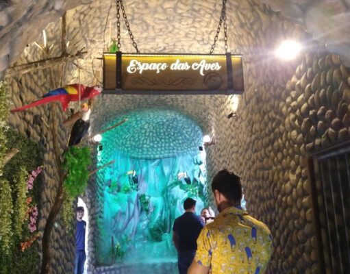 Uma tartaruga que não come sozinha e uma arara careca