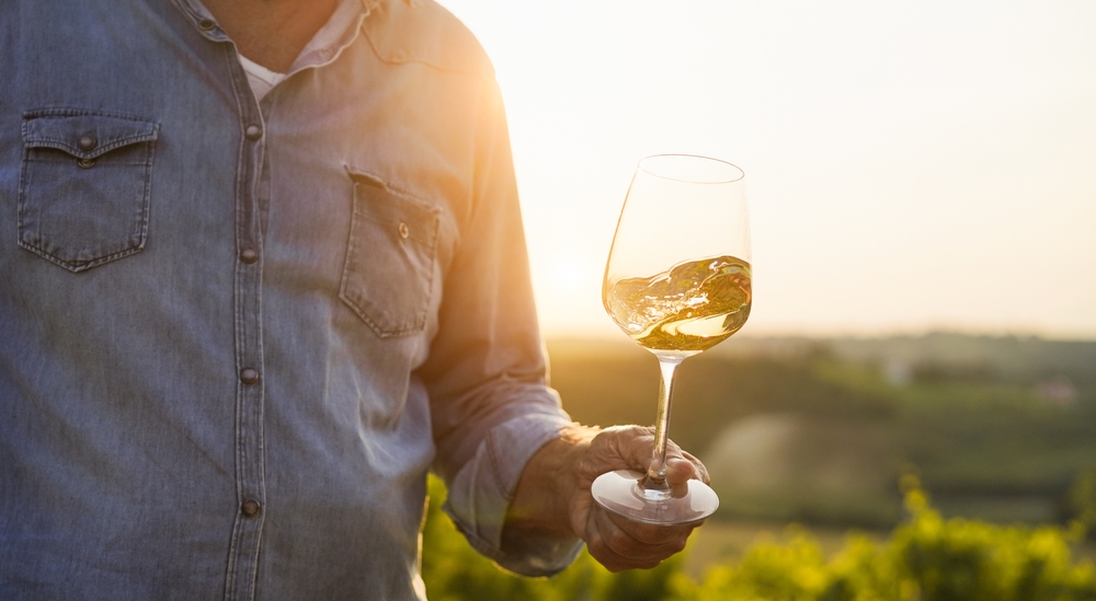 Wine,Producer,Mane,Tasting,The,Product,After,Harvest,And,Grape