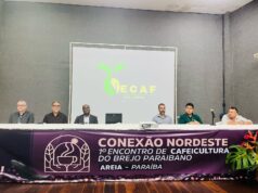 Conexão Nordeste em Areia discute os novos rumos da cafeicultura