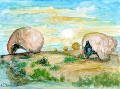 Exposição “ Paraíba Brasil” tem vernissagem nesta sexta, 5, no Canoa dos Camarões