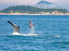 Estados e municípios lançam Carta de Compromisso pelos Oceanos