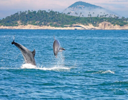 Estados e municípios lançam Carta de Compromisso pelos Oceanos