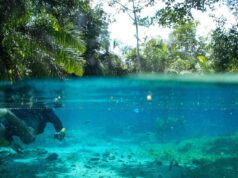 Embratur participa da USTOA para reposicionar o Brasil nos EUA