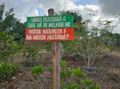 Culturas e Tradições de Ingá e Mogeiro, pertinho de João Pessoa