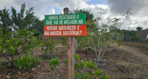 Culturas e Tradições de Ingá e Mogeiro, pertinho de João Pessoa