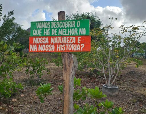 Culturas e Tradições de Ingá e Mogeiro, pertinho de João Pessoa