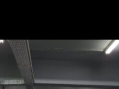 A Feira Agroecológica promove evento de valorização da produção saudável e cultural anas marias