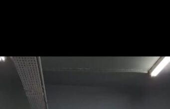 A Feira Agroecológica promove evento de valorização da produção saudável e cultural anas marias