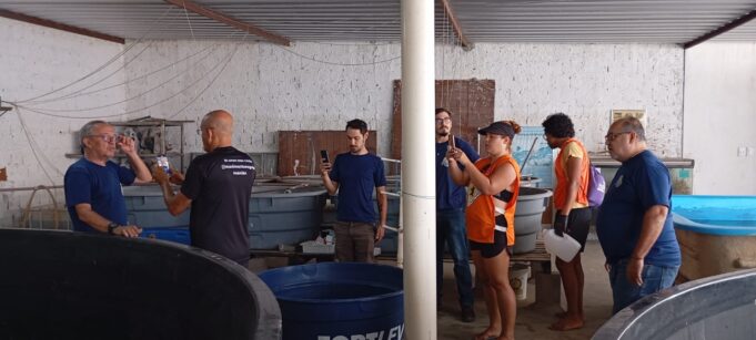 aquario pb aquario pb